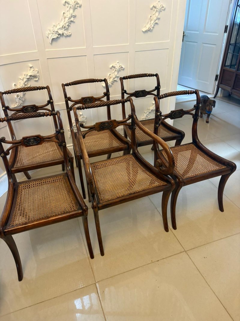 Antique Regency Mahogany Dining Chairs – Set of Six with Cane Seats, Five Singles & One Carver - Image 2